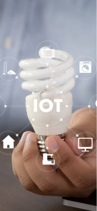 Ensuring security in the IOT